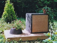 Solo (1 case + 1 socle)